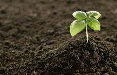 土壤墑情監(jiān)測(cè)系統(tǒng)的建設(shè)有何意義?